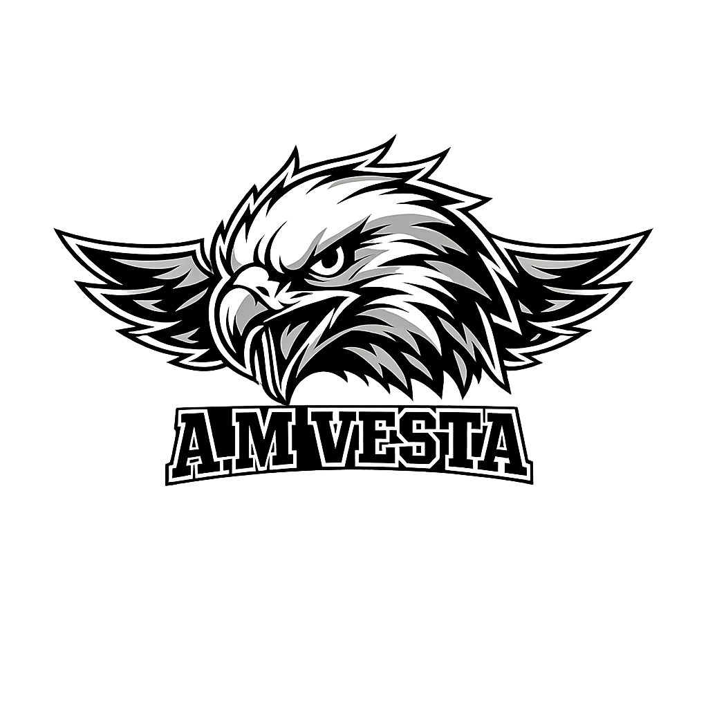 A.M Vesta | Felpe Streetwear Artistiche Originali